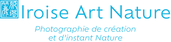 Iroise Art Nature